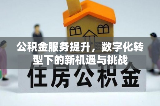 松原公积金服务提升，数字化转型下的新机遇与挑战