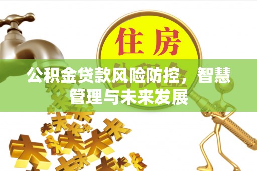 松原公积金贷款风险防控，智慧管理与未来发展