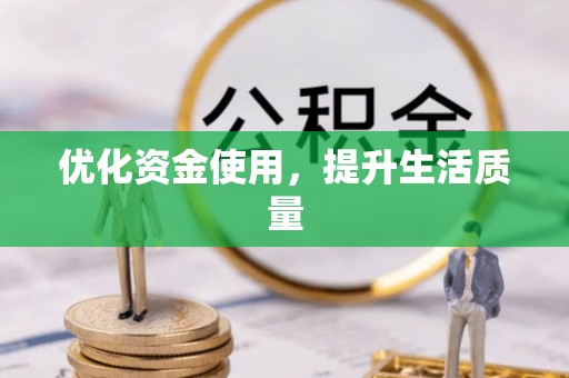 松原优化资金使用，提升生活质量