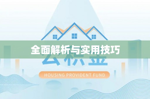松原全面解析与实用技巧